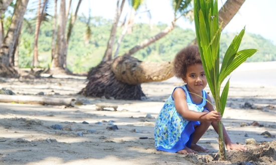 Fijian girl planting a palm