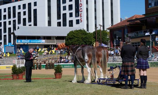 The Blessing of the Plough at the Ekka