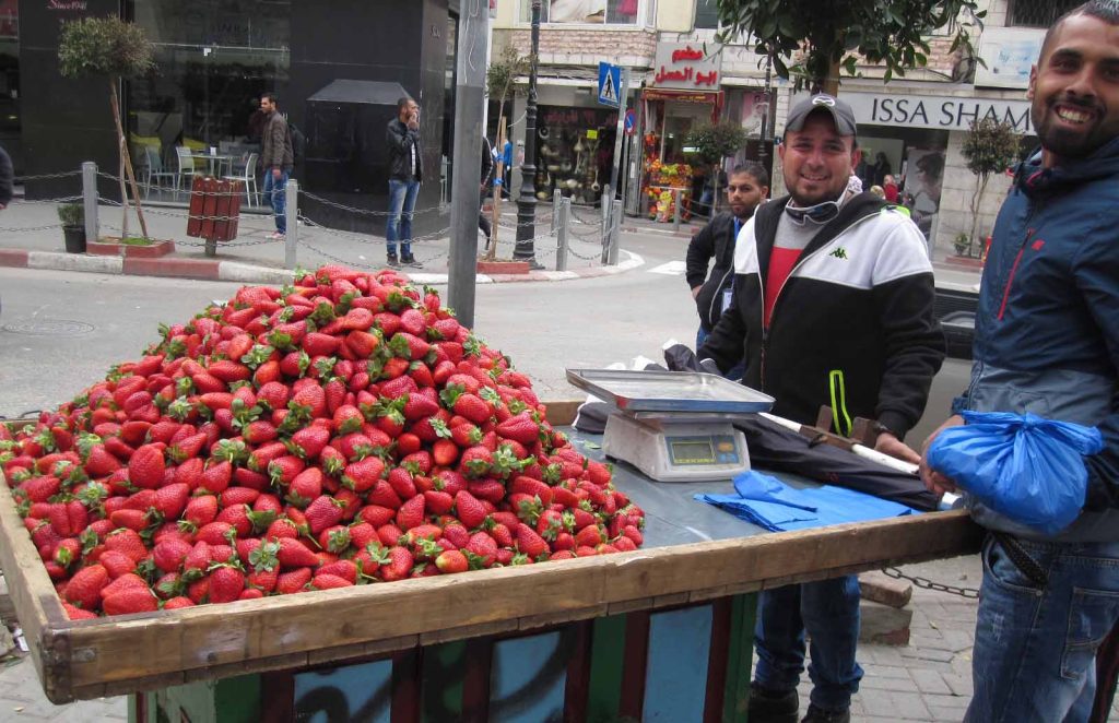 Ramallah strawberry seller